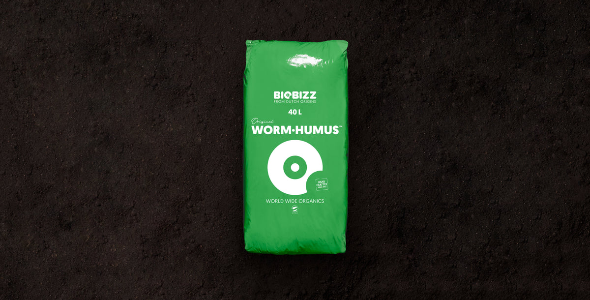 Worm·Humus